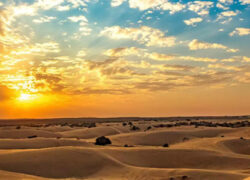 Thar Desert