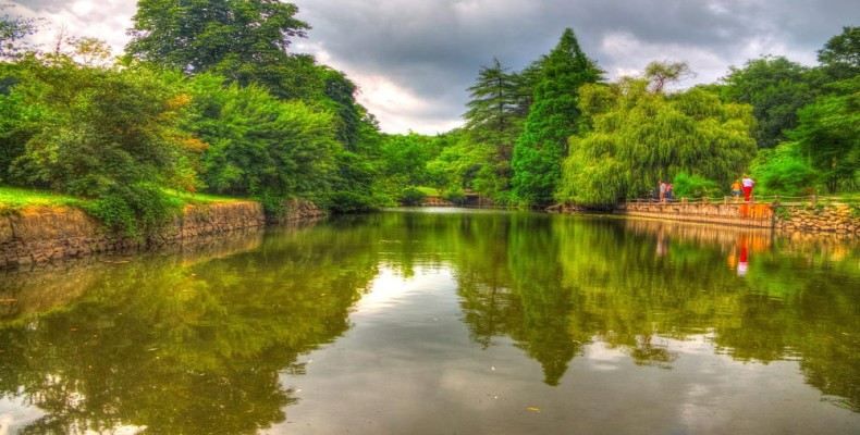 دریاچه و مناظر طبیعی جنگل بلگراد استانبول