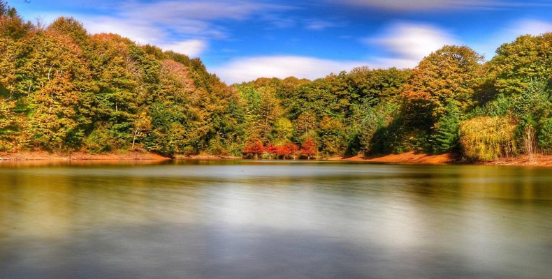 جنگل بلگراد استانبول در فصل پاییز