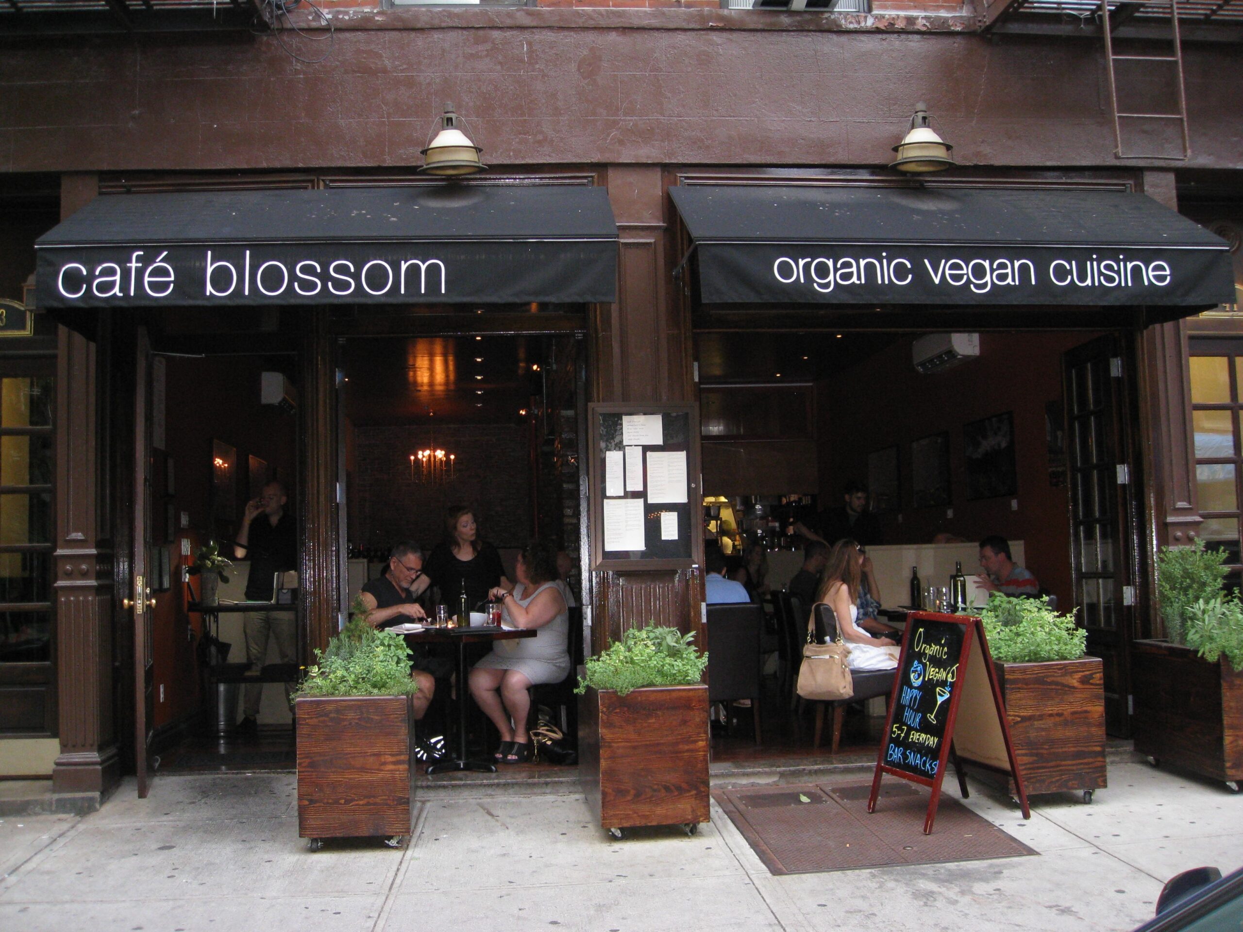 بهترین رستوران ‌های گیاهی در نیویورک