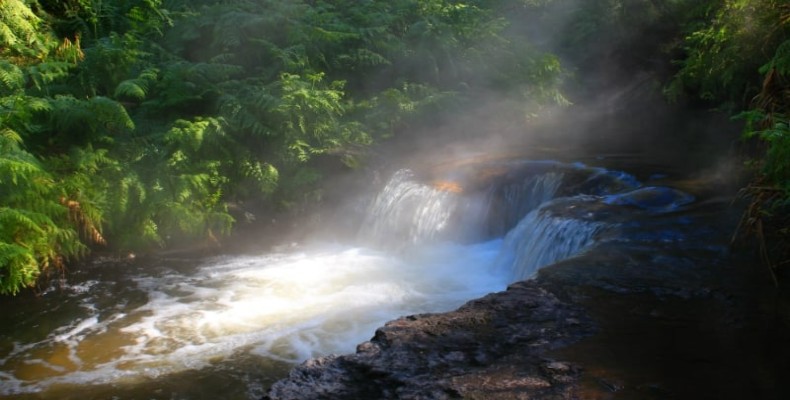 چشمه آب گرم کروسین کریک نیوزیلند در میان جنگل‌های سرسبز از داغ ترین چشمه های جهان