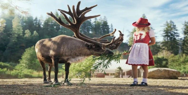 مزرعه گوزن Leavenworth از جاذبههای تابستانی واشنگتن