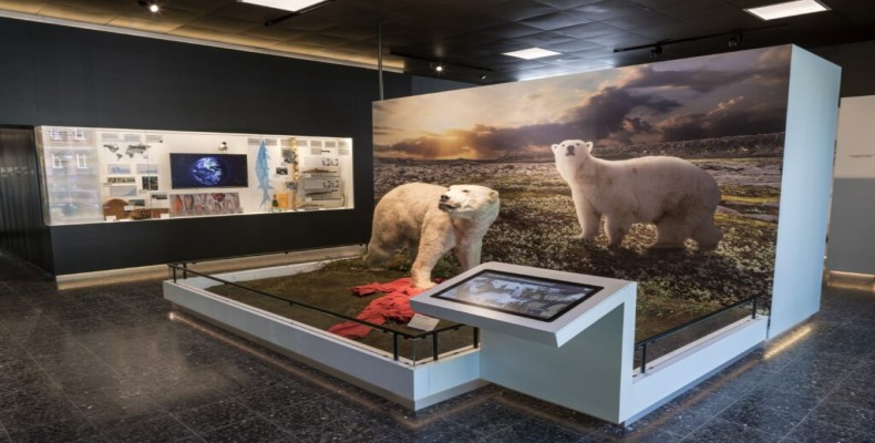 موزه طبیعت هامبورگ؛ نمایشگاه جانورشناسی و محیط‌زیست