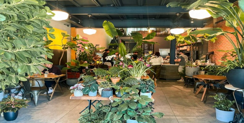 کافه گلخانه ای PlantShed از خاص ترین کافه های نیویورک
