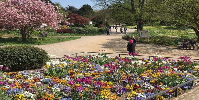 پارک پلانتن اون بلومن در هامبورگ؛ باغ‌های رنگارنگ و فضای آرامش‌بخش