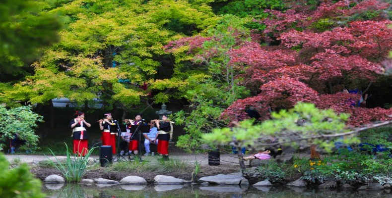 باغ ژاپنی سیاتل در تابستان واشنگتن