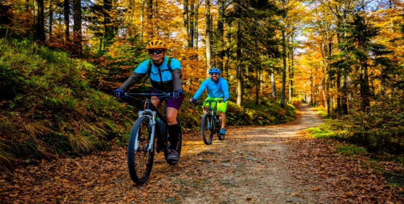 دوچرخه‌سواری در مسیرهای جنگل بلگراد استانبول