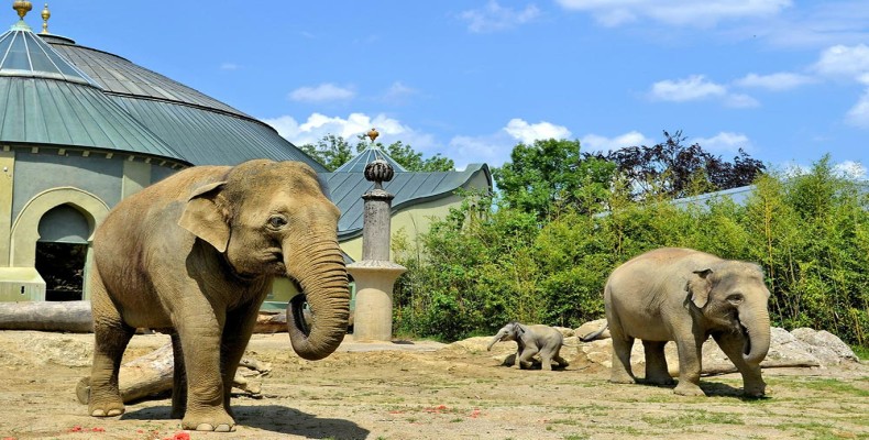 باغوحش هلابرون مونیخ