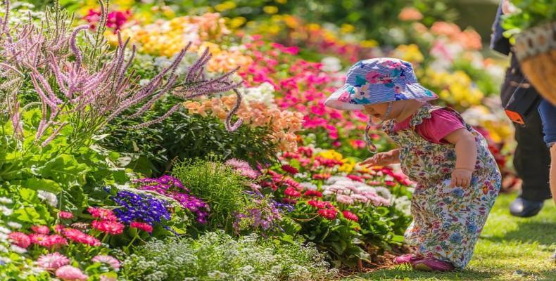 کارناوال گلهای توومبا در بهار استرالیا
