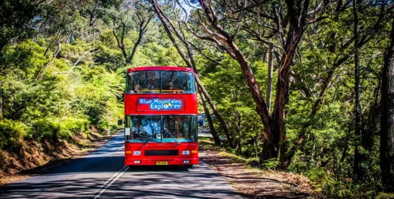 چشم‌انداز وسیع کوه‌ های آبی سیدنی – طبیعت بکر و دره‌های سبز پارک ملی استرالیا