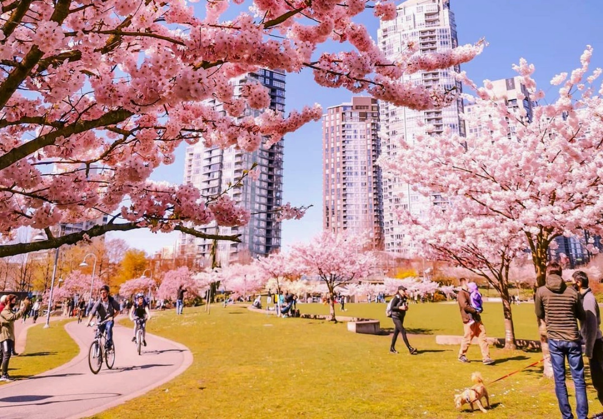 سفر به ونکوور در بهار