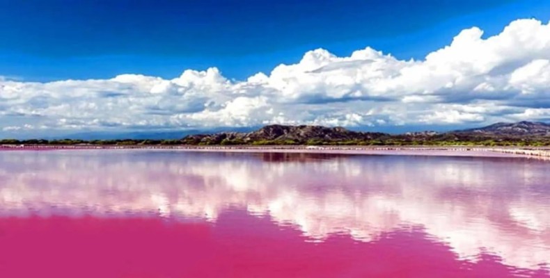 تالاب لیپار چابهار با رنگ صورتی منحصربهفرد در فصل بهار