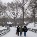 Central Park in New York