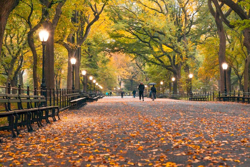 New York in the fall