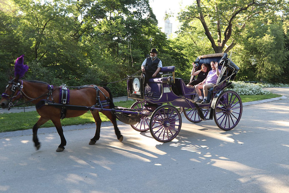 Carriage ride in Central Park