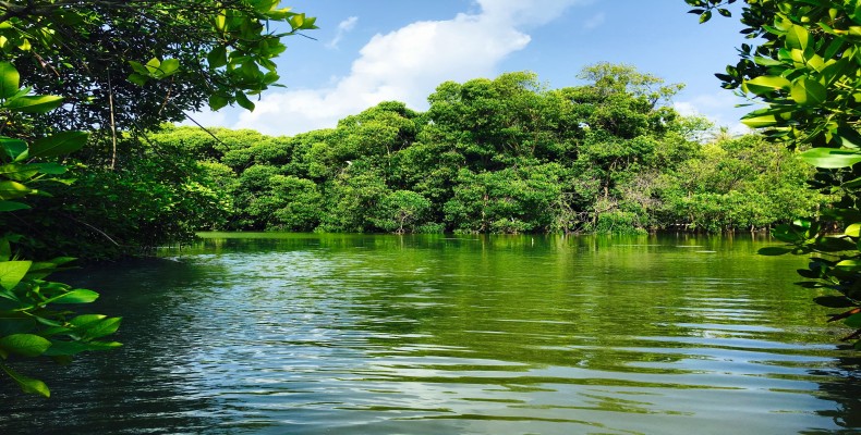 منطقه Huraa Mangrove Nature Reserve با جنگل های حرا