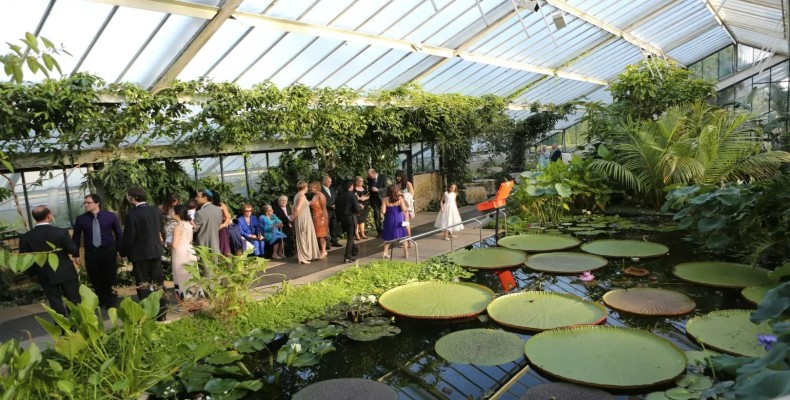 باغ گیاهشناسی کیو لندن در شب؛ تجربه بازدید شبانه از کیو گاردنز