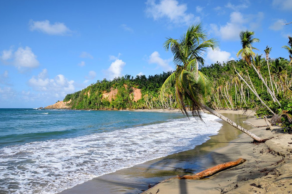 The amazing beach of Dominica