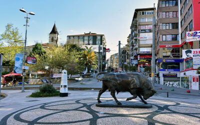 Istanbul bull statue