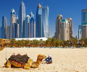 Let's go to Dubai or Abu Dhabi