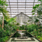 Istanbul greenhouse park