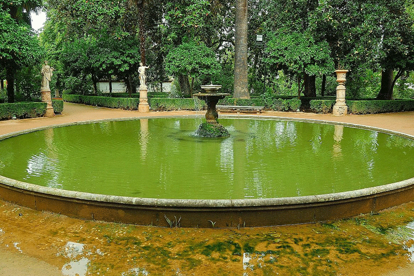 Gardens of Carmen de los Martires