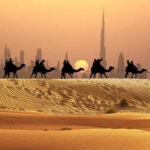 Dubai entertainment in the desert