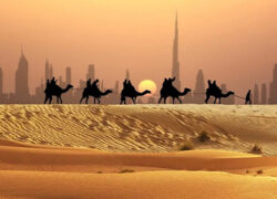 Dubai entertainment in the desert