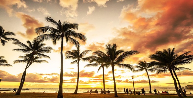 ساحل سانست هاوایی با نخلهای بلند و غروب طلایی خورشید