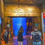 Lost Chambers