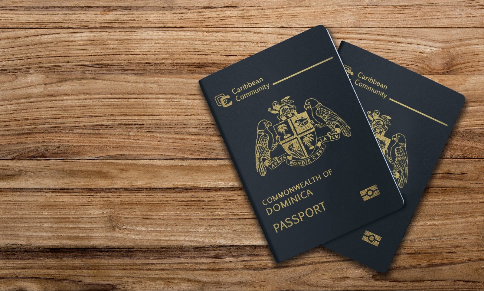 چرا دومینیکا بهترین انتخاب برای اخذ پاسپورت دوم است؟