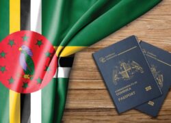 بررسی لیست کشورهای بدون ویزا با پاسپورت دومینیکا