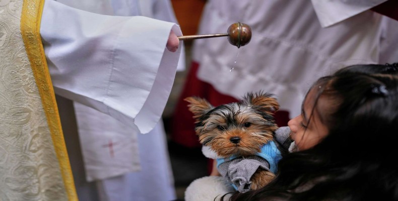 مراسم روز قدیس آنتونی در رم و آیین برکت دادن حیوانات خانگی