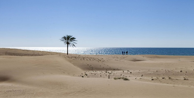 ساحل درک چابهار؛ تلاقی کویر و دریا