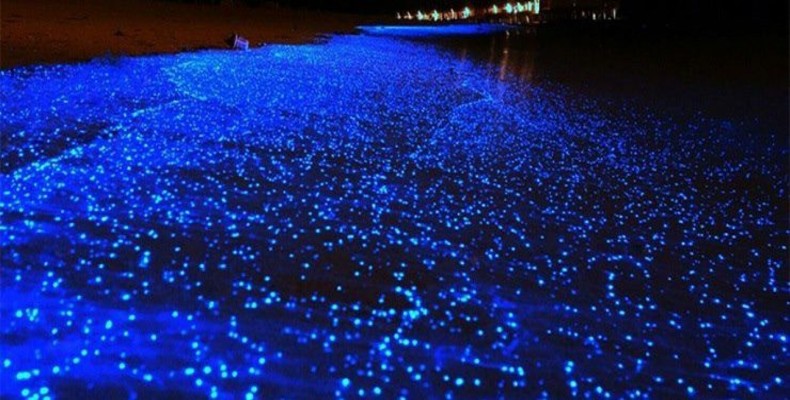 ساحل شبتاب چابهار در شب با درخشش آبی امواج دریا