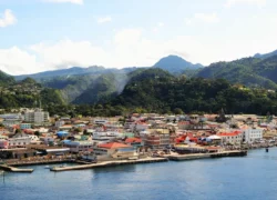 راه های مهاجرت به دومینیکا