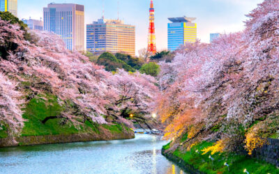 بهترین پارک ‌های ملی توکیو