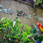 باغ پرندگان بالی