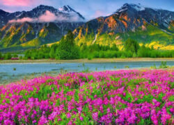طبیعت بهار در ایران