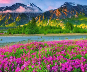 طبیعت بهار در ایران