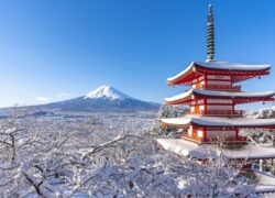 سفر به ژاپن در بهمن ماه