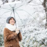 سفر به ژاپن در آذر ماه