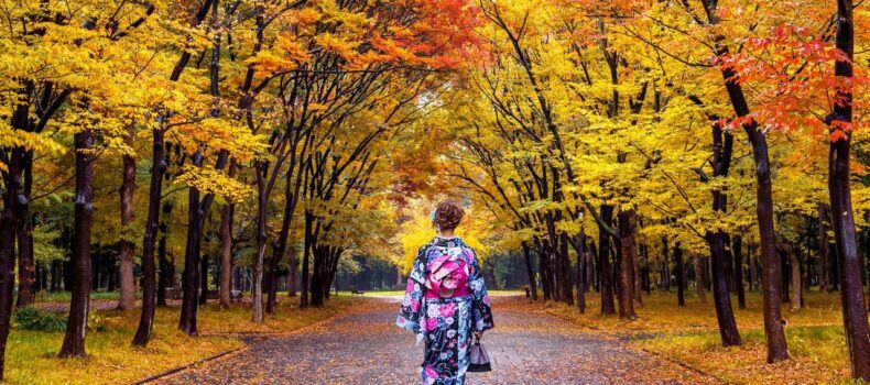 سفر به ژاپن در پاییز