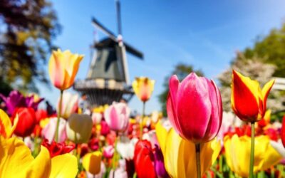 هلند به چی معروفه؟