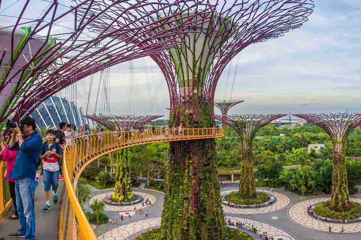 باغ‌های کنار خلیج برای عاشقان طبیعت سنگاپور