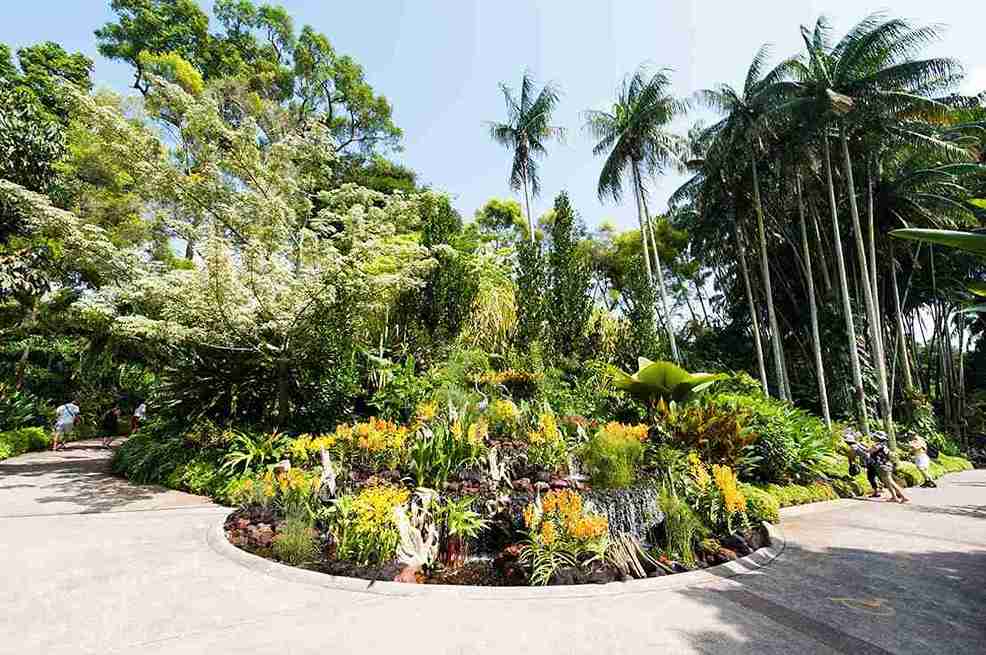 باغ‌های گیاه شناسی سنگاپور