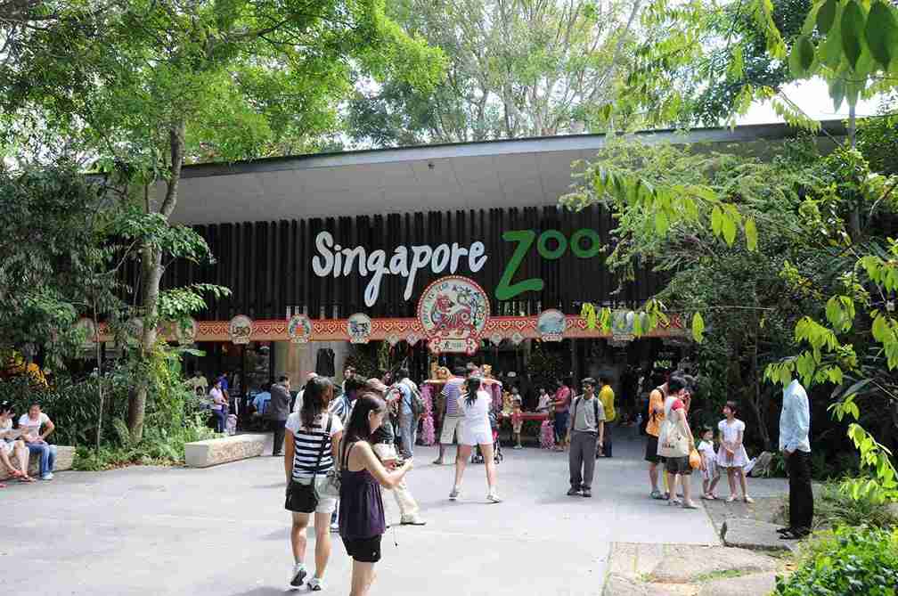 باغ‌وحش سنگاپور