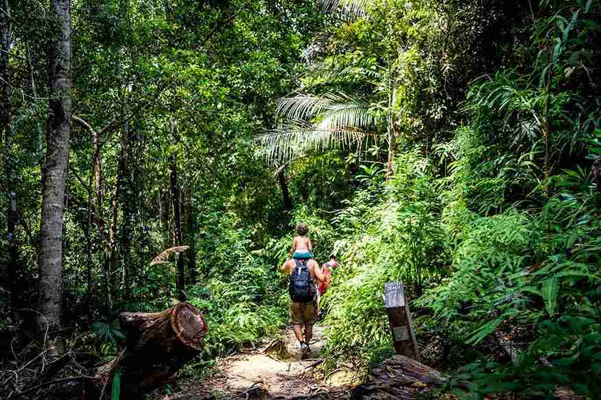 مالزی به چی معروفه؟جنگل‌ها و پارک‌های ملی