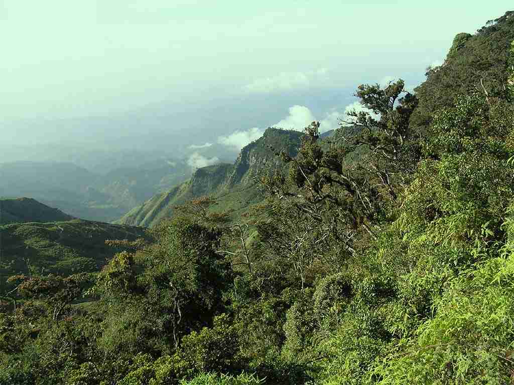 پارک ملی دشت هورتون؛ یکی از بهترین پارک های ملی حیات‌وحش سریلانکا 