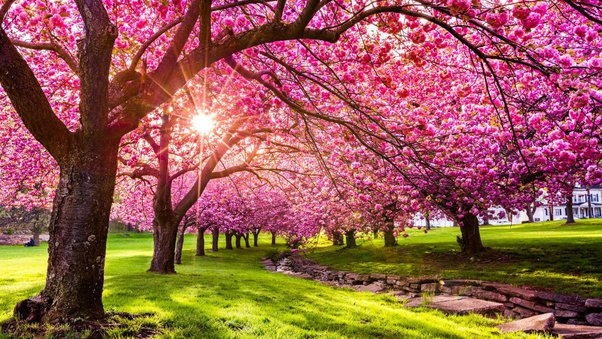 سفر به آسیا در بهار؛ بهشت روی زمین را پیدا کنید!